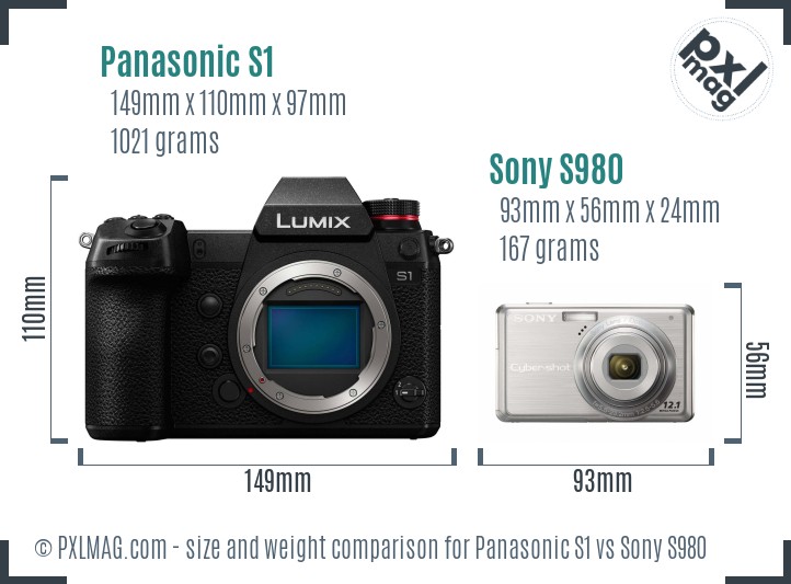 Panasonic S1 vs Sony S980 size comparison