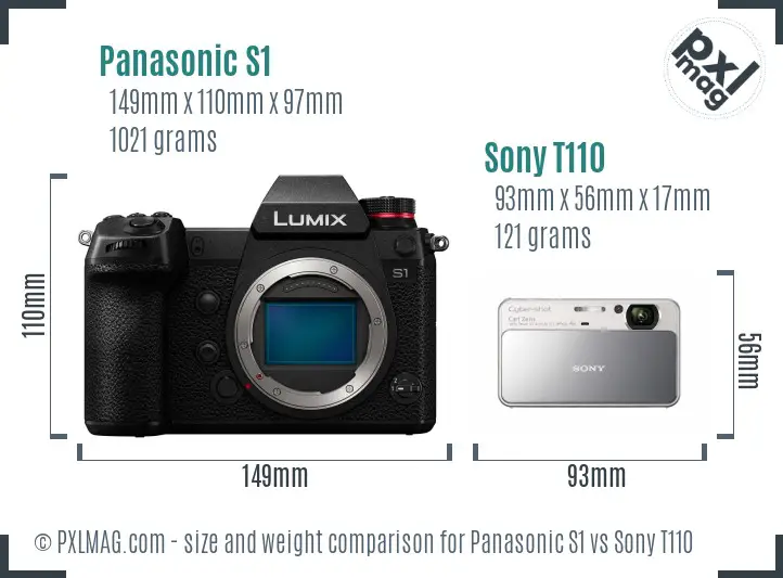 Panasonic S1 vs Sony T110 size comparison