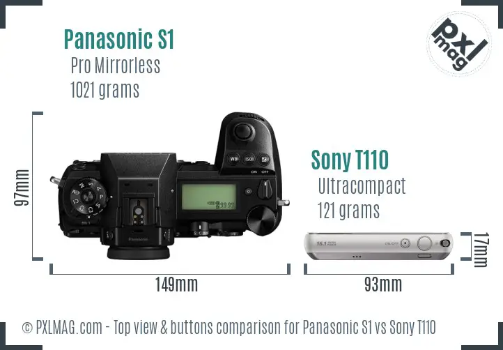 Panasonic S1 vs Sony T110 top view buttons comparison