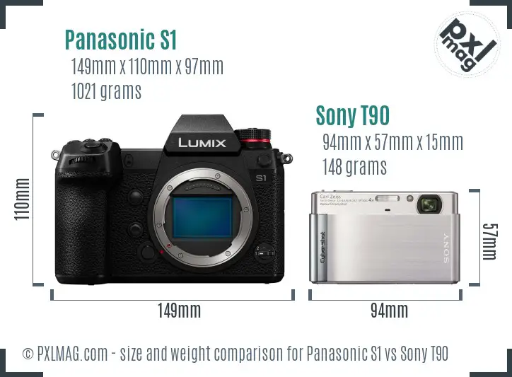 Panasonic S1 vs Sony T90 size comparison
