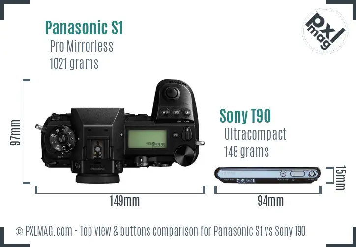 Panasonic S1 vs Sony T90 top view buttons comparison