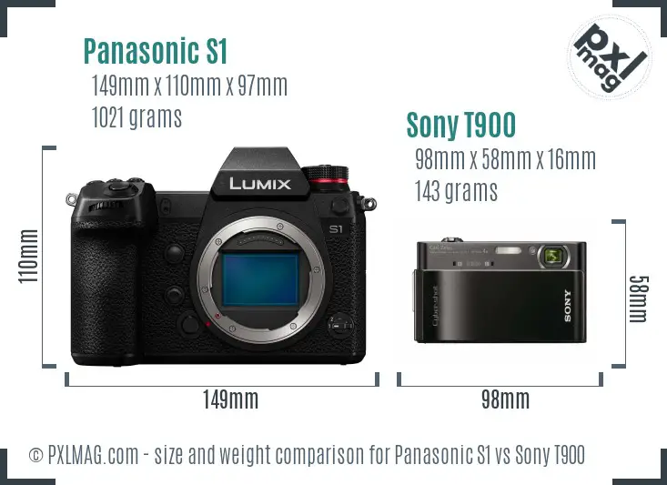 Panasonic S1 vs Sony T900 size comparison