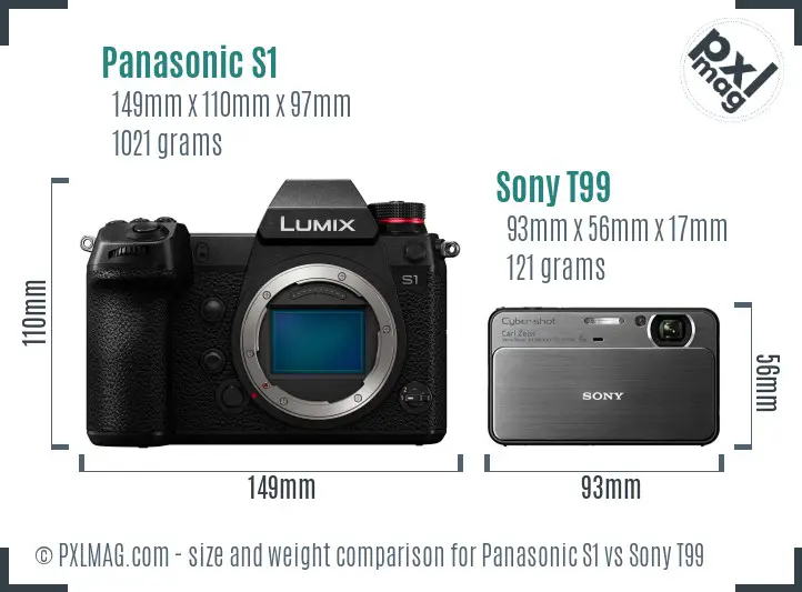 Panasonic S1 vs Sony T99 size comparison