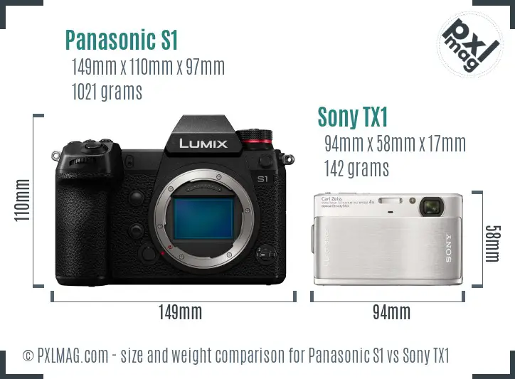 Panasonic S1 vs Sony TX1 size comparison