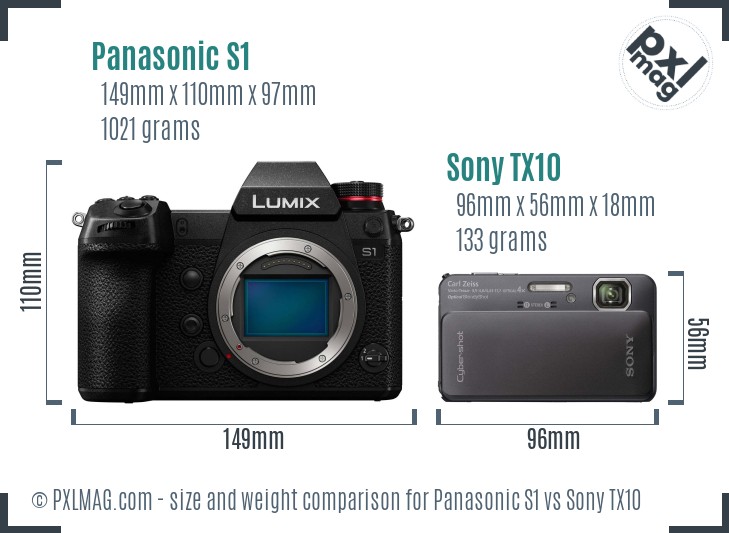 Panasonic S1 vs Sony TX10 size comparison