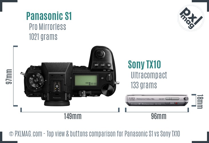 Panasonic S1 vs Sony TX10 top view buttons comparison