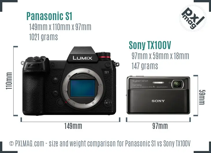 Panasonic S1 vs Sony TX100V size comparison