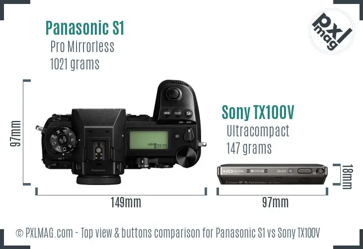 Panasonic S1 vs Sony TX100V top view buttons comparison