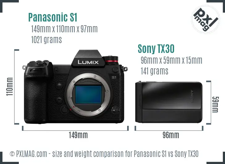 Panasonic S1 vs Sony TX30 size comparison
