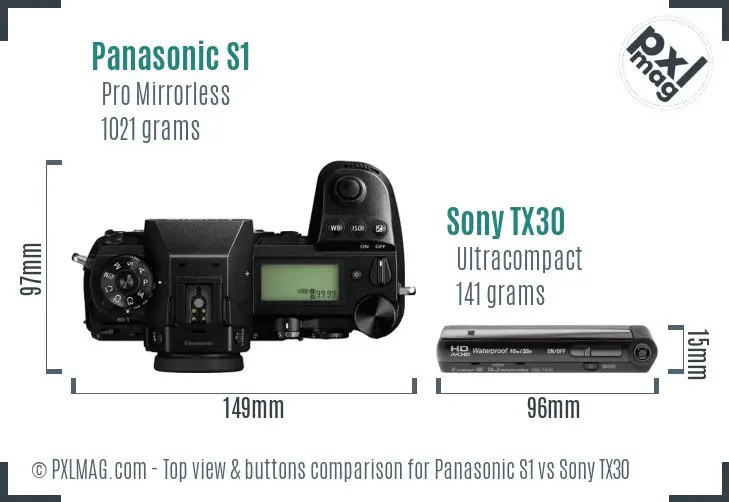 Panasonic S1 vs Sony TX30 top view buttons comparison