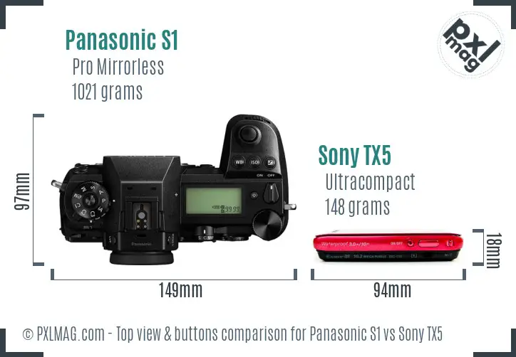 Panasonic S1 vs Sony TX5 top view buttons comparison