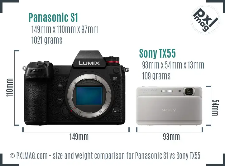 Panasonic S1 vs Sony TX55 size comparison Panasonic S1 vs Sony TX55 size comparison