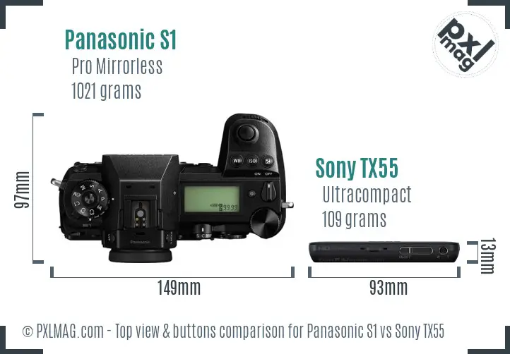 Panasonic S1 vs Sony TX55 top view buttons comparison Panasonic S1 vs Sony TX55 top view buttons comparison
