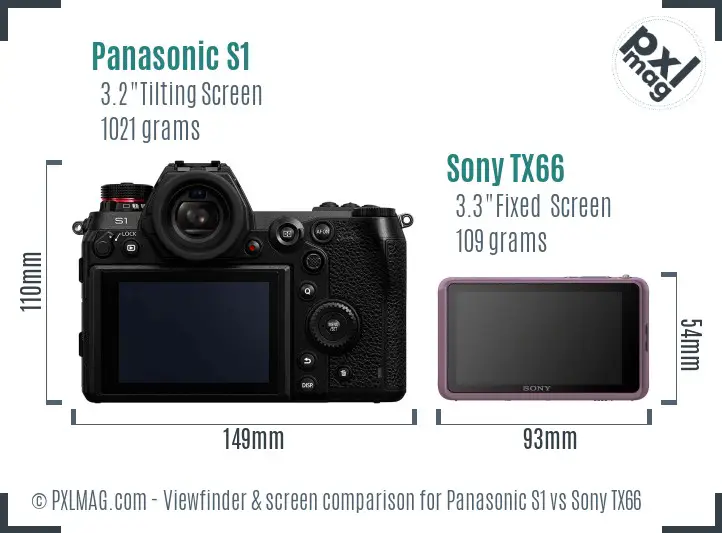 Panasonic S1 vs Sony TX66 Screen and Viewfinder comparison