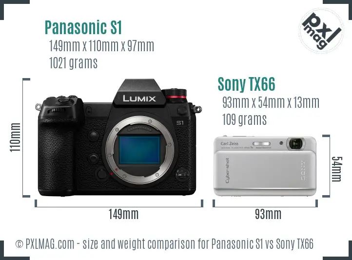 Panasonic S1 vs Sony TX66 size comparison