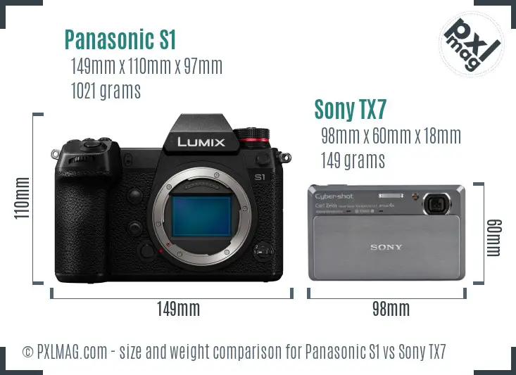 Panasonic S1 vs Sony TX7 size comparison