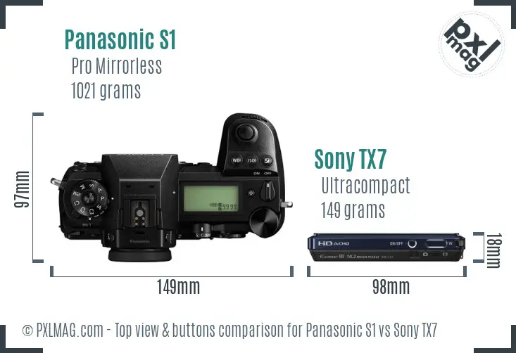 Panasonic S1 vs Sony TX7 top view buttons comparison