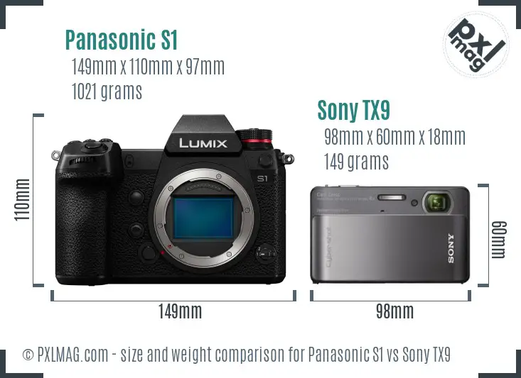 Panasonic S1 vs Sony TX9 size comparison Panasonic S1 vs Sony TX9 size comparison