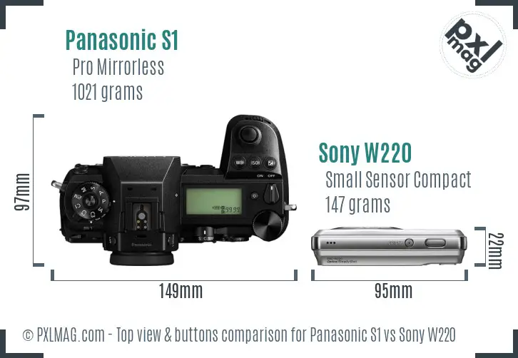 Panasonic S1 vs Sony W220 top view buttons comparison