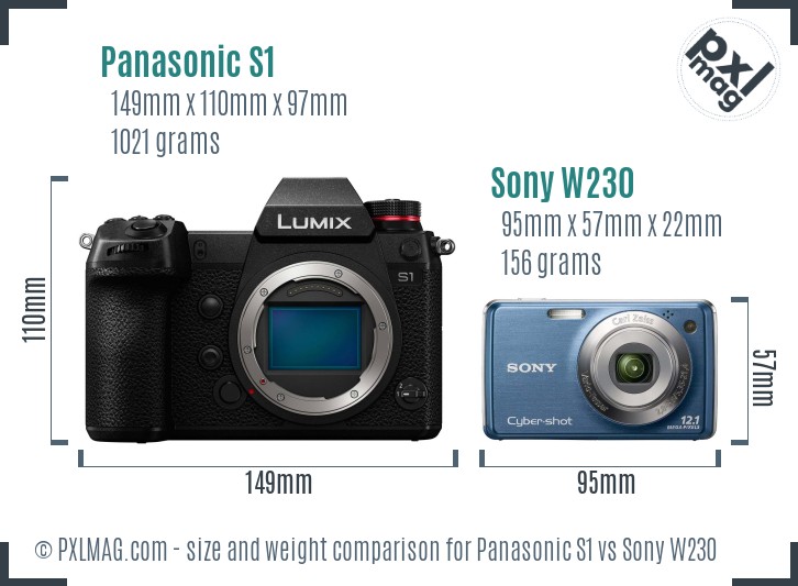Panasonic S1 vs Sony W230 size comparison Panasonic S1 vs Sony W230 size comparison