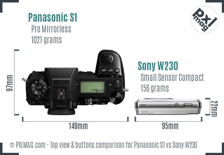 Panasonic S1 vs Sony W230 top view buttons comparison