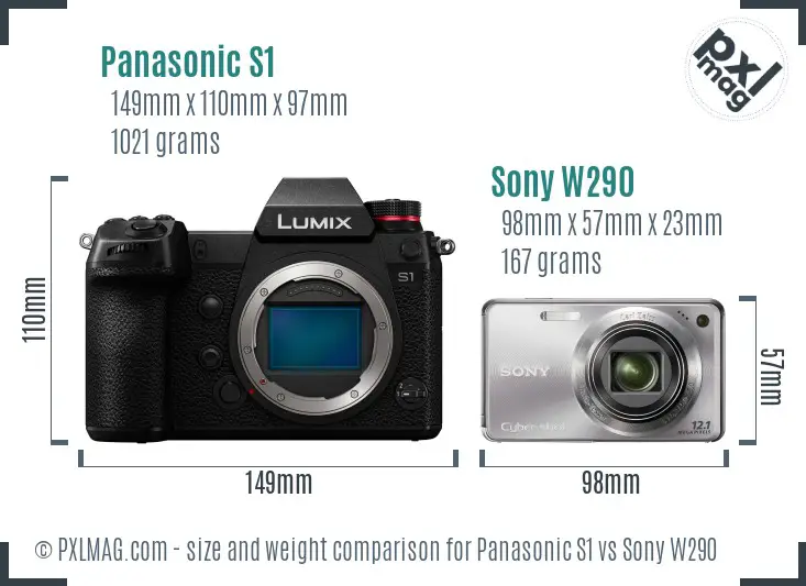 Panasonic S1 vs Sony W290 size comparison