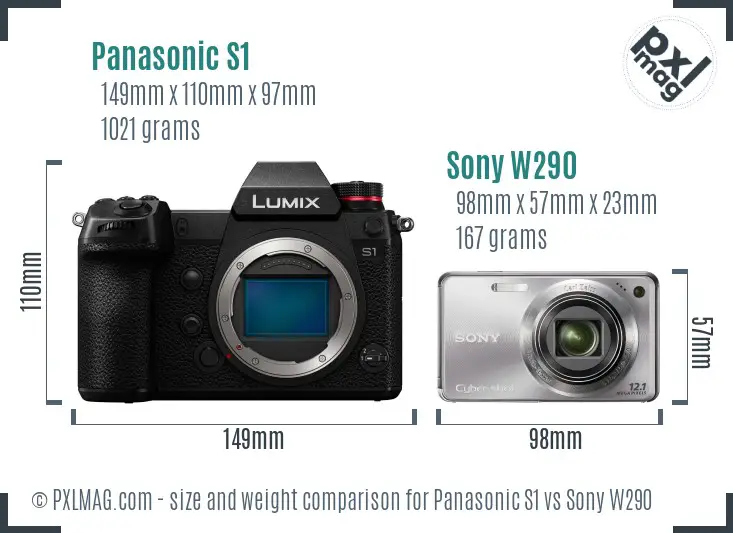 Panasonic S1 vs Sony W290 size comparison Panasonic S1 vs Sony W290 size comparison