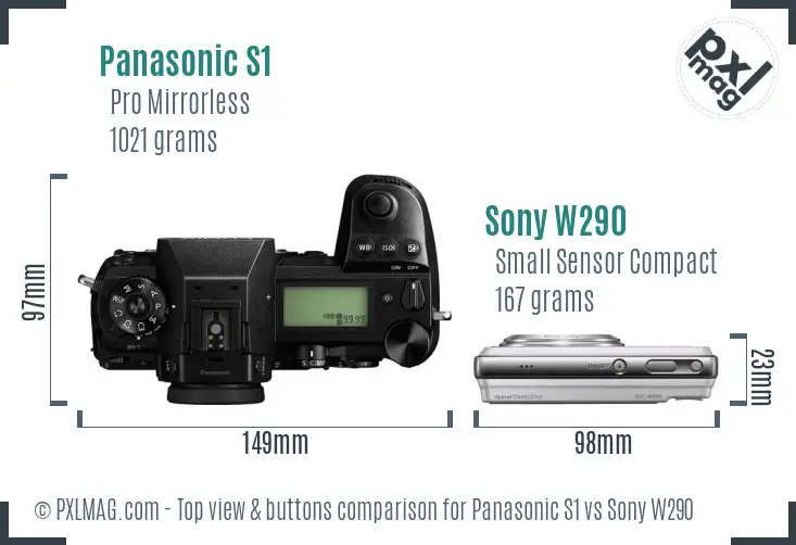 Panasonic S1 vs Sony W290 top view buttons comparison