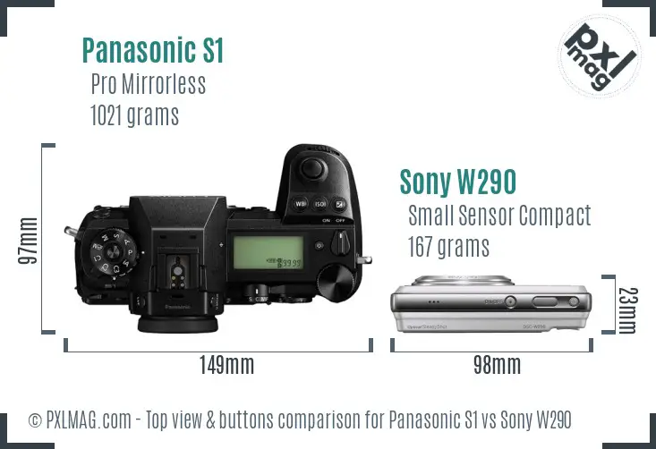 Panasonic S1 vs Sony W290 top view buttons comparison Panasonic S1 vs Sony W290 top view buttons comparison