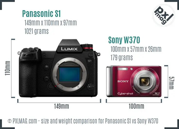 Panasonic S1 vs Sony W370 size comparison