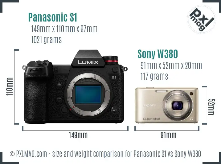 Panasonic S1 vs Sony W380 size comparison