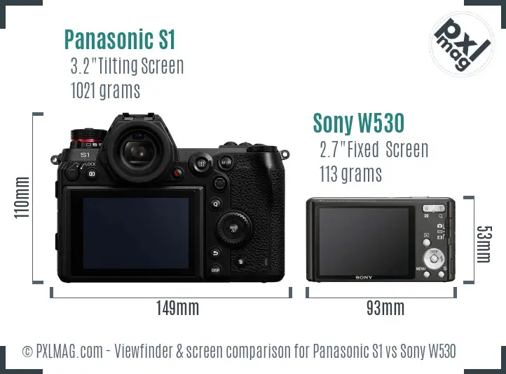 Panasonic S1 vs Sony W530 Screen and Viewfinder comparison