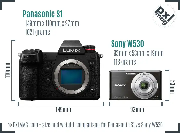 Panasonic S1 vs Sony W530 size comparison