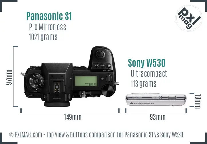 Panasonic S1 vs Sony W530 top view buttons comparison