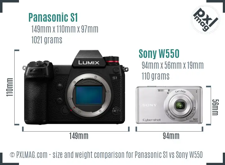 Panasonic S1 vs Sony W550 size comparison