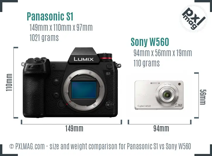 Panasonic S1 vs Sony W560 size comparison