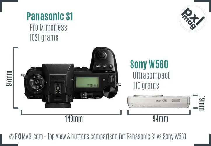 Panasonic S1 vs Sony W560 top view buttons comparison