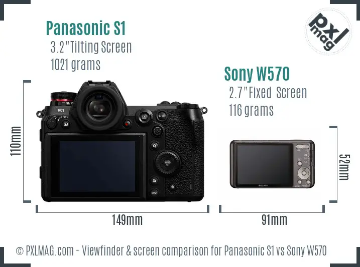Panasonic S1 vs Sony W570 Screen and Viewfinder comparison