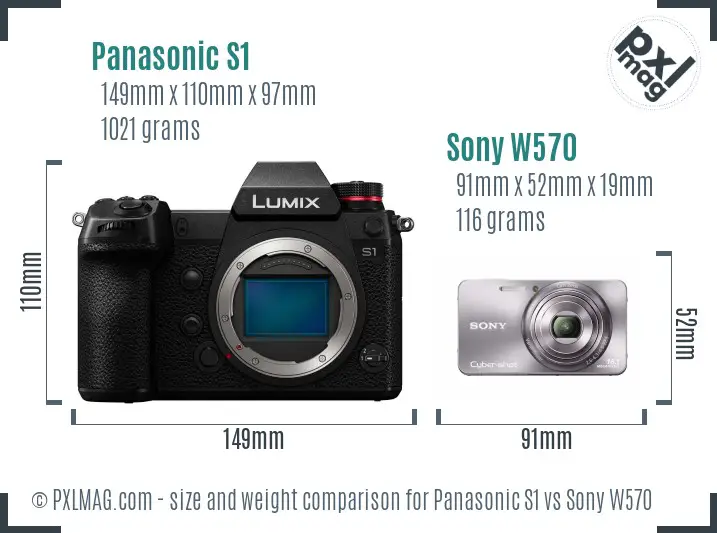 Panasonic S1 vs Sony W570 size comparison