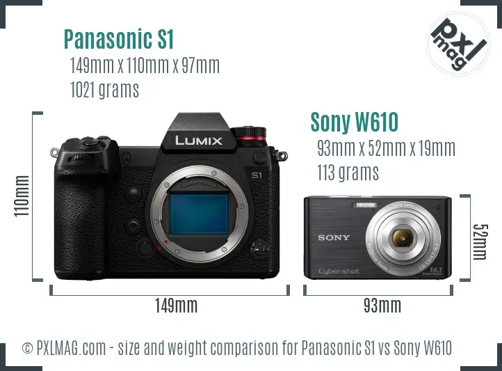 Panasonic S1 vs Sony W610 size comparison