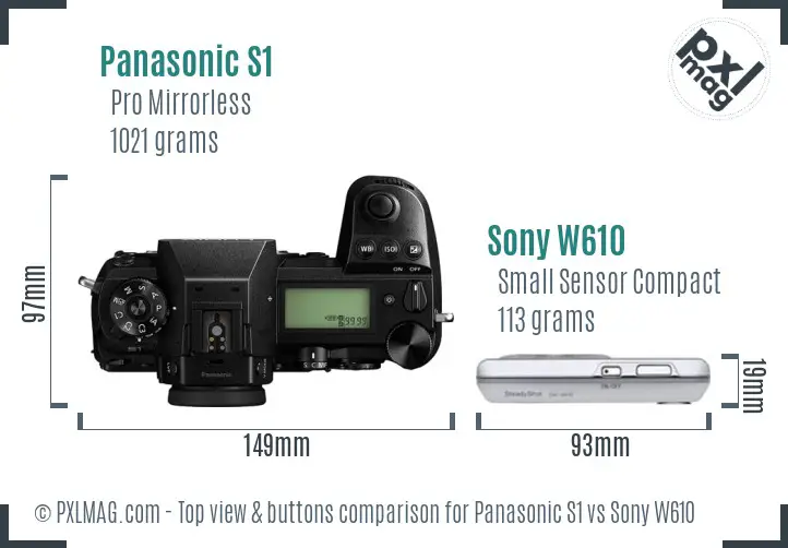 Panasonic S1 vs Sony W610 top view buttons comparison