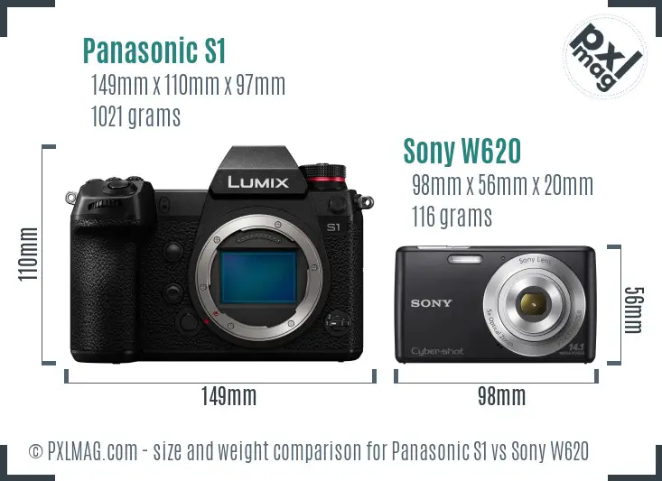 Panasonic S1 vs Sony W620 size comparison