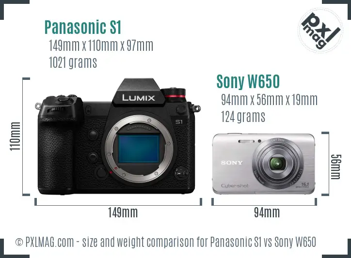 Panasonic S1 vs Sony W650 size comparison