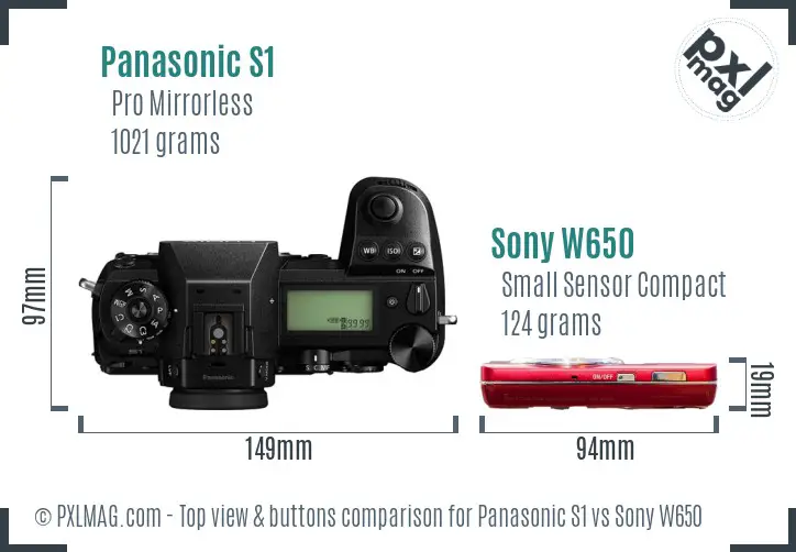 Panasonic S1 vs Sony W650 top view buttons comparison