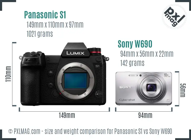 Panasonic S1 vs Sony W690 size comparison