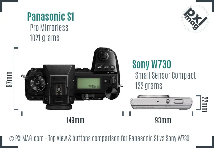 Panasonic S1 vs Sony W730 top view buttons comparison