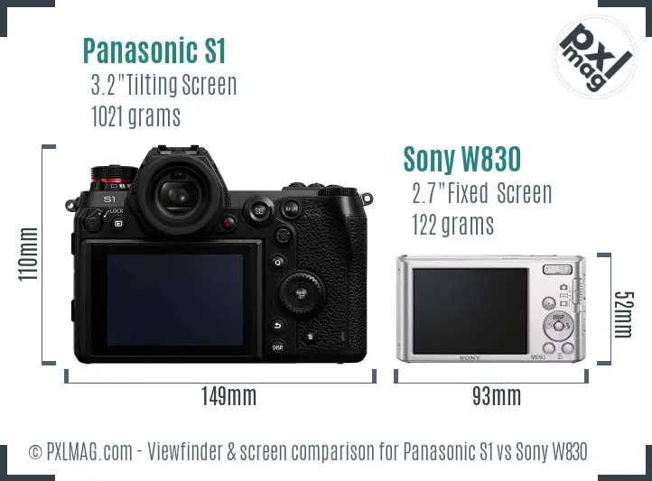 Panasonic S1 vs Sony W830 Screen and Viewfinder comparison
