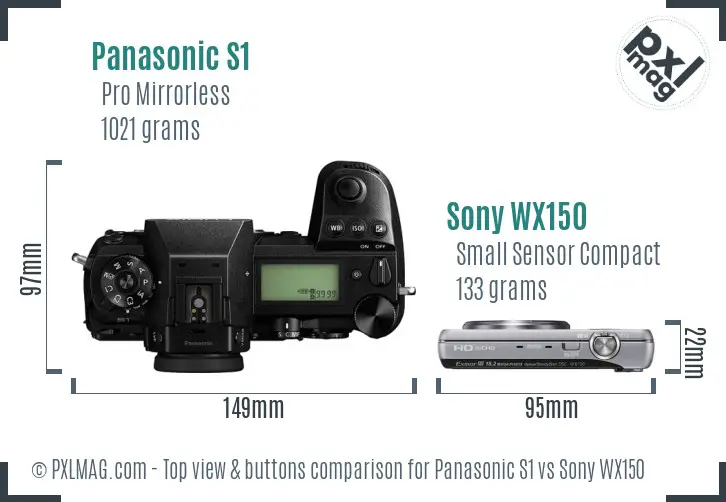 Panasonic S1 vs Sony WX150 top view buttons comparison