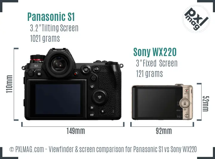 Panasonic S1 vs Sony WX220 Screen and Viewfinder comparison