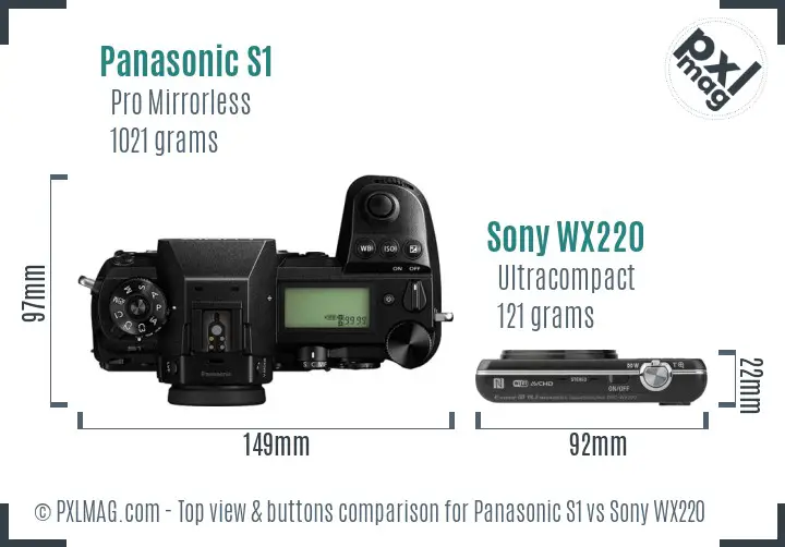 Panasonic S1 vs Sony WX220 top view buttons comparison